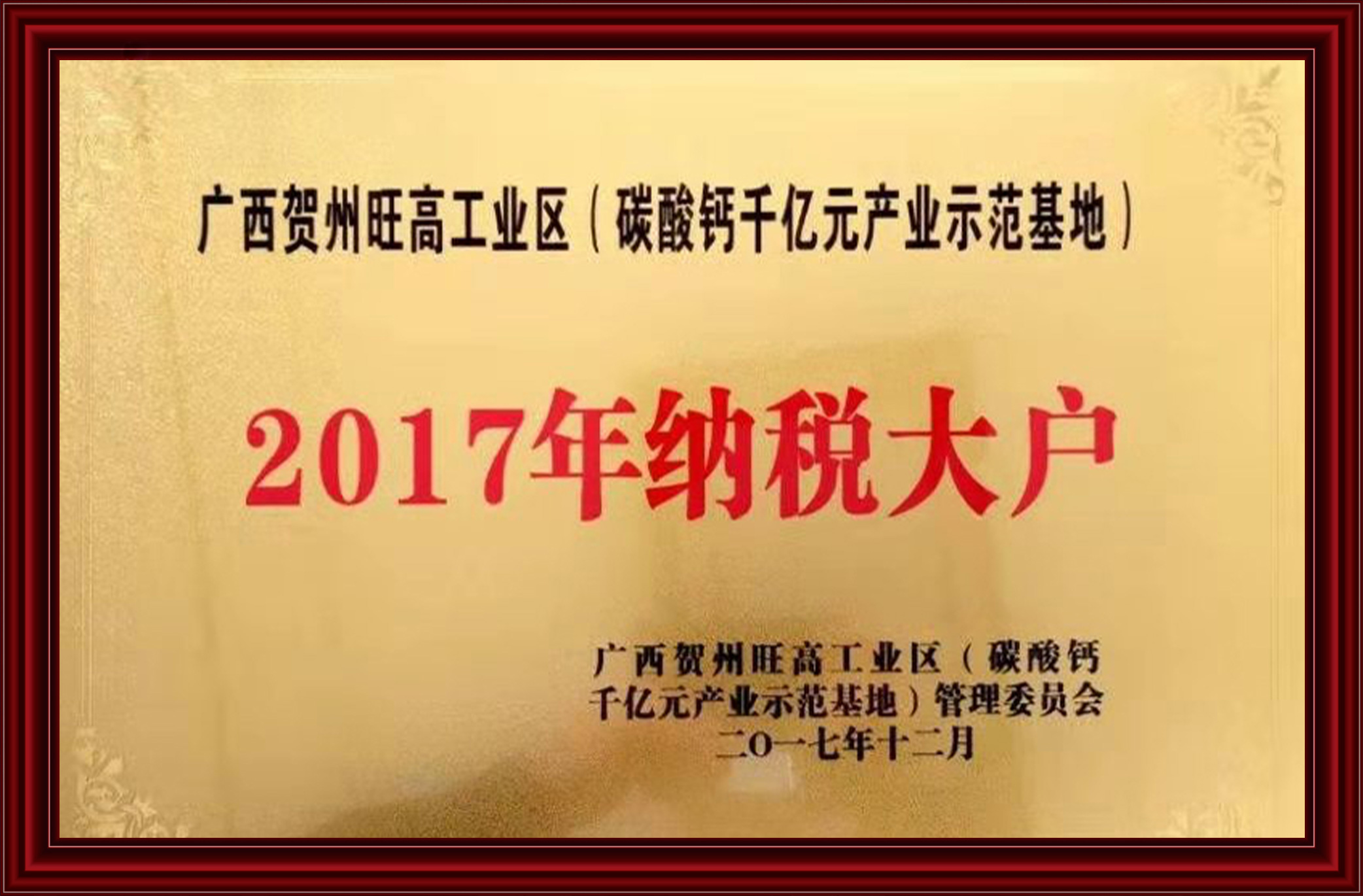 2017纳税大户